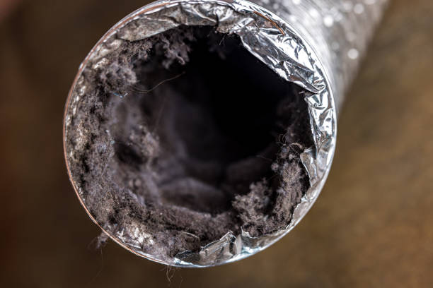 Best Affordable HVAC Duct Cleaning  in Lake Mack Forest Hills, FL