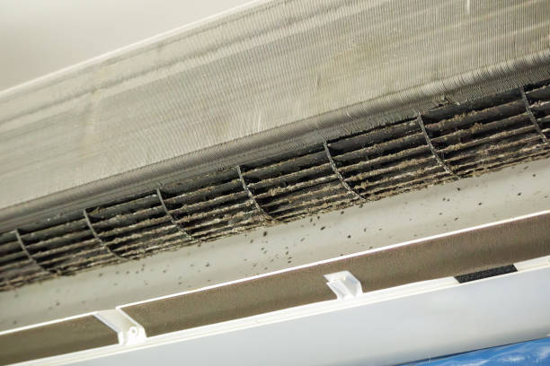 Best Affordable Air Duct Cleaning  in Lake Mack Forest Hills, FL